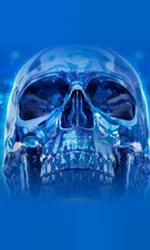 Crystal Skull