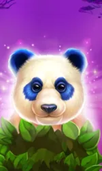 Luck of Panda: Bonus Combo